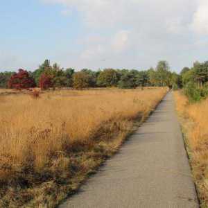 Fietsroute Rucphense Heide, 46km